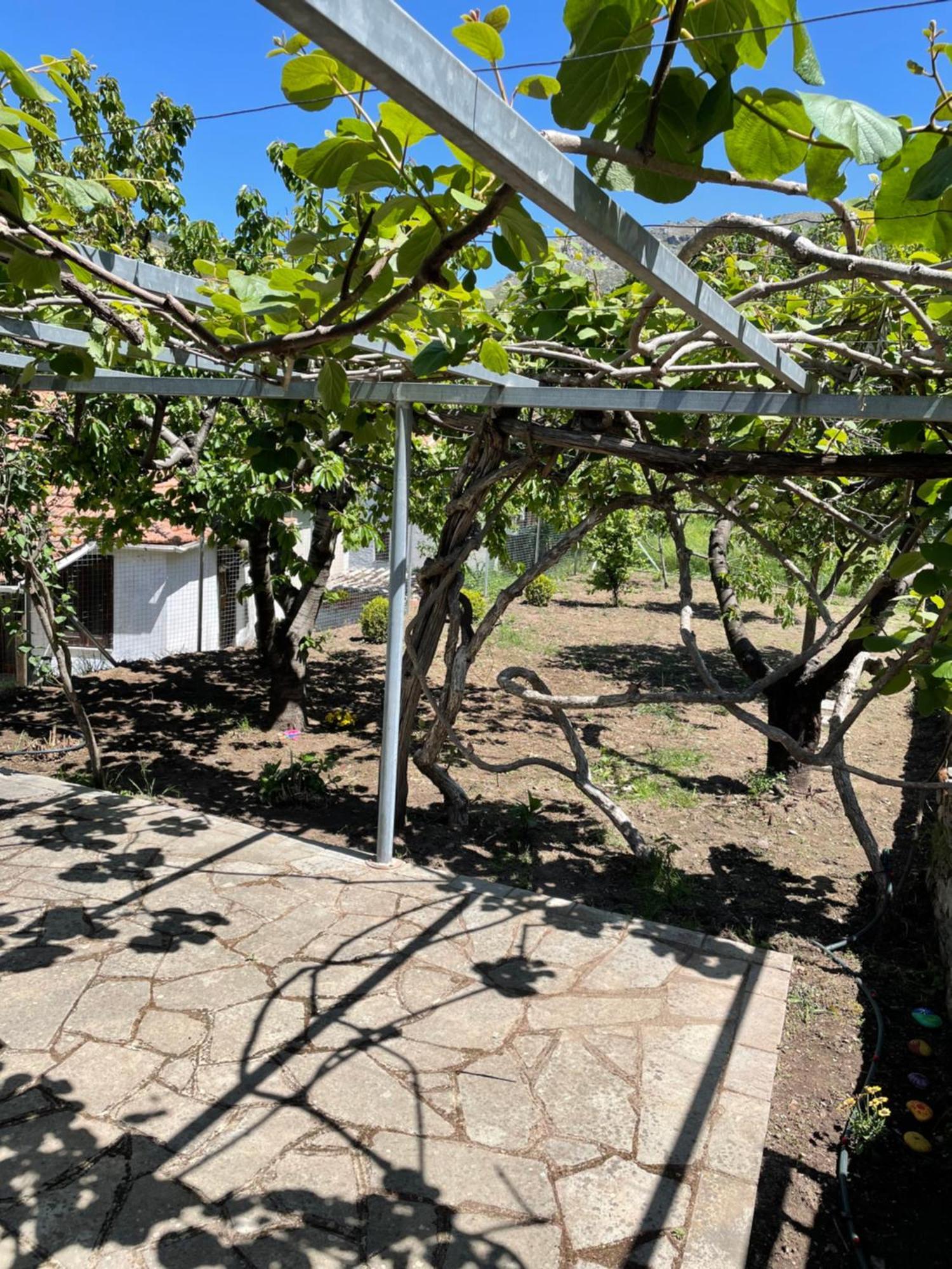 Lila'S Guest House Mikros Prinos Exterior photo